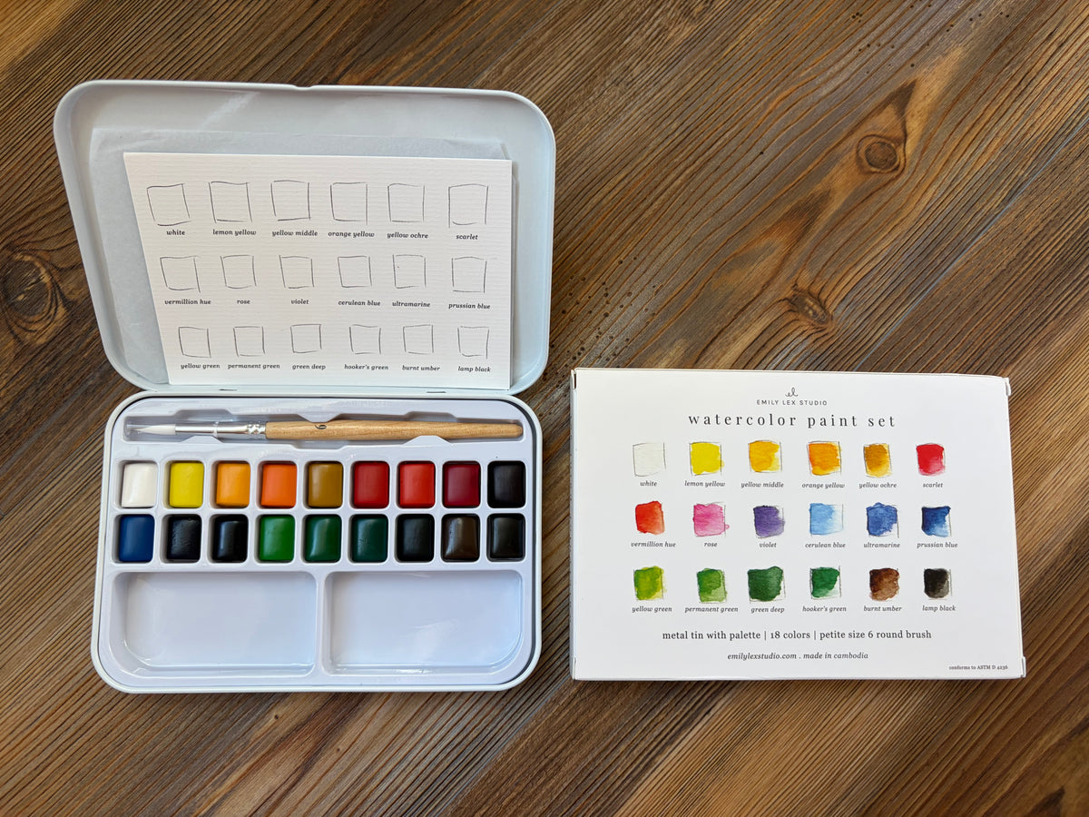 Watercolor Paint/Brush Set