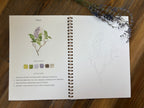 Flowers Watercolor Workbook