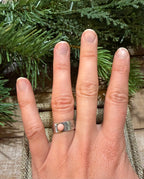 Pink Conch Cigar Band