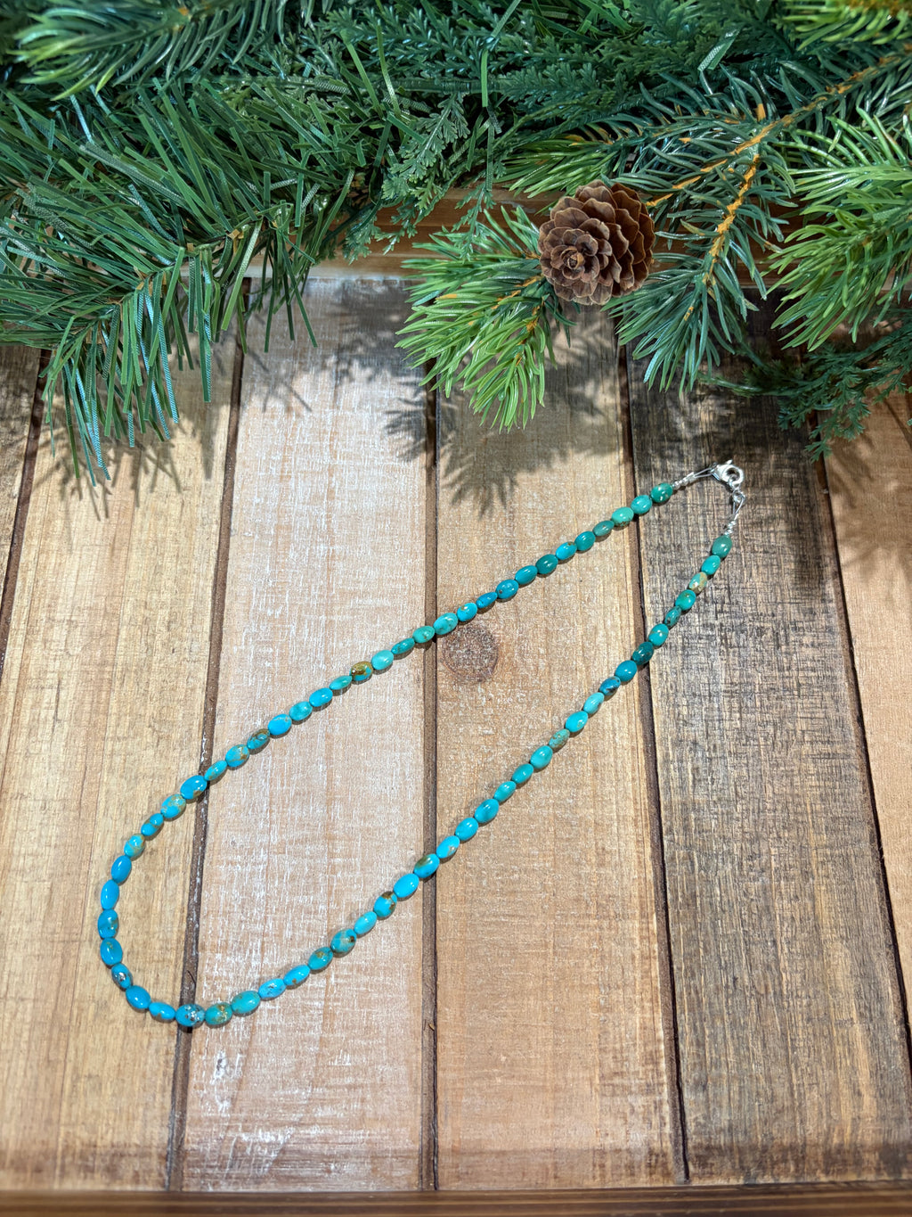 Sonoran Mountain Turquoise Necklace