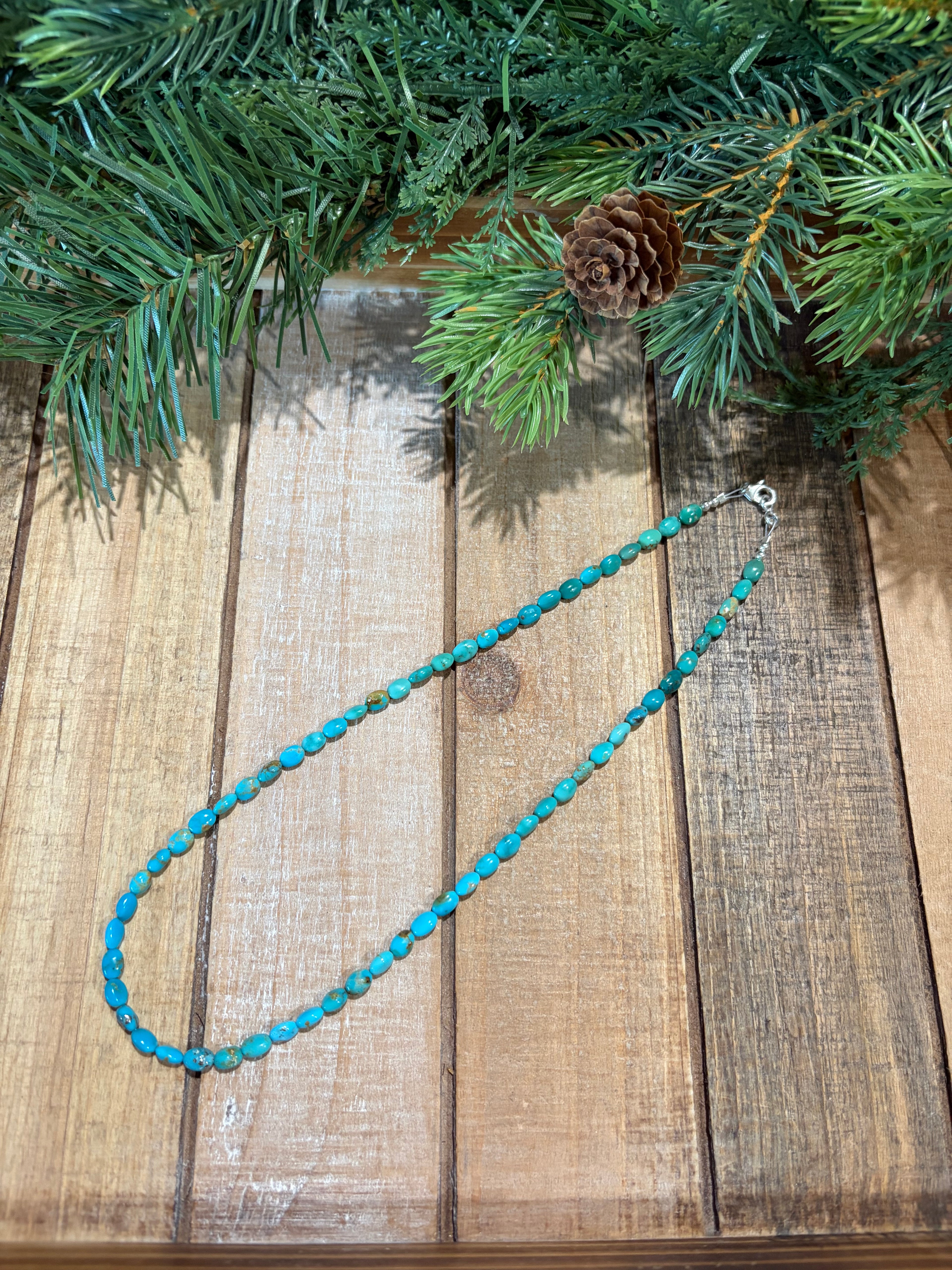 Sonoran Mountain Turquoise Necklace
