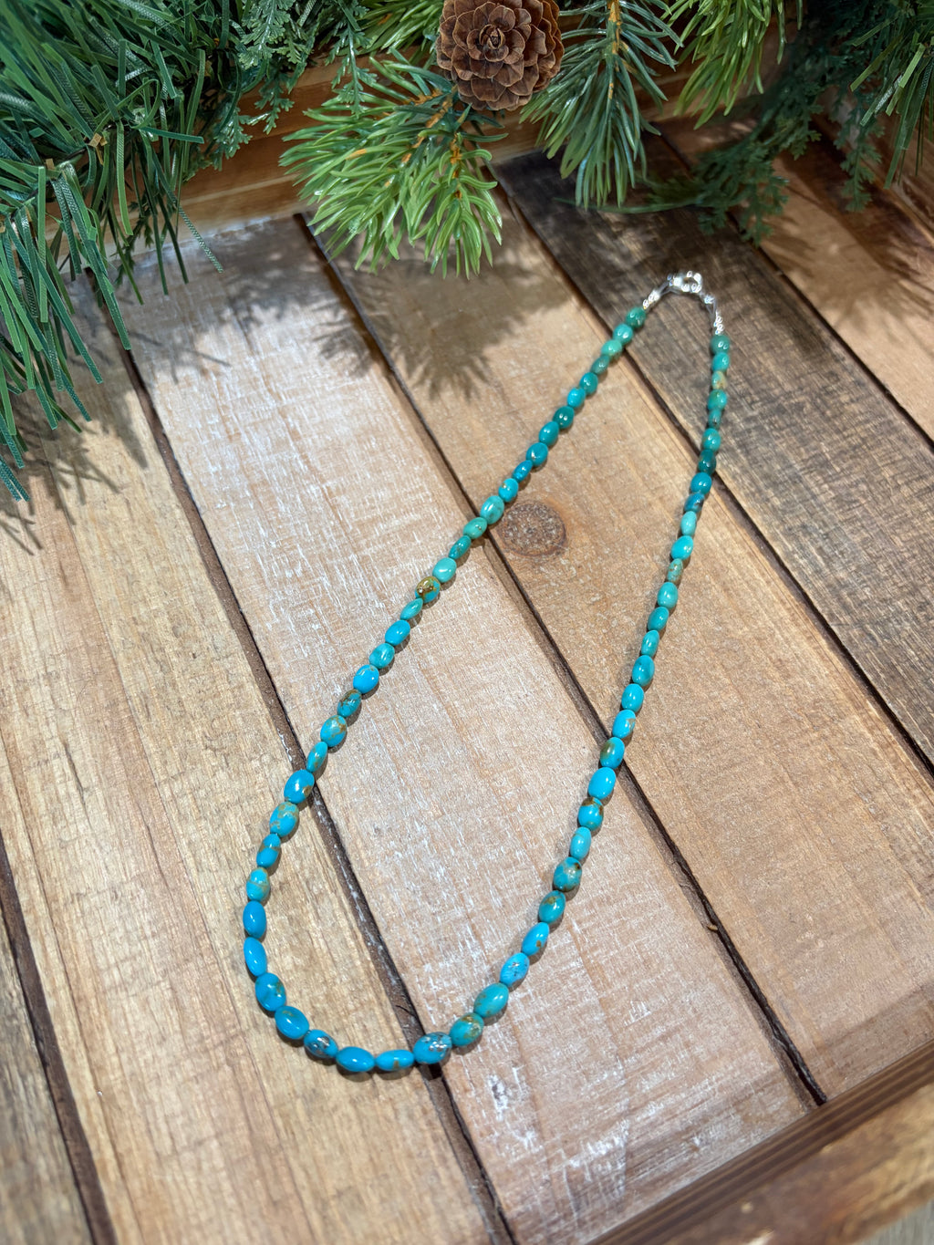Sonoran Mountain Turquoise Necklace