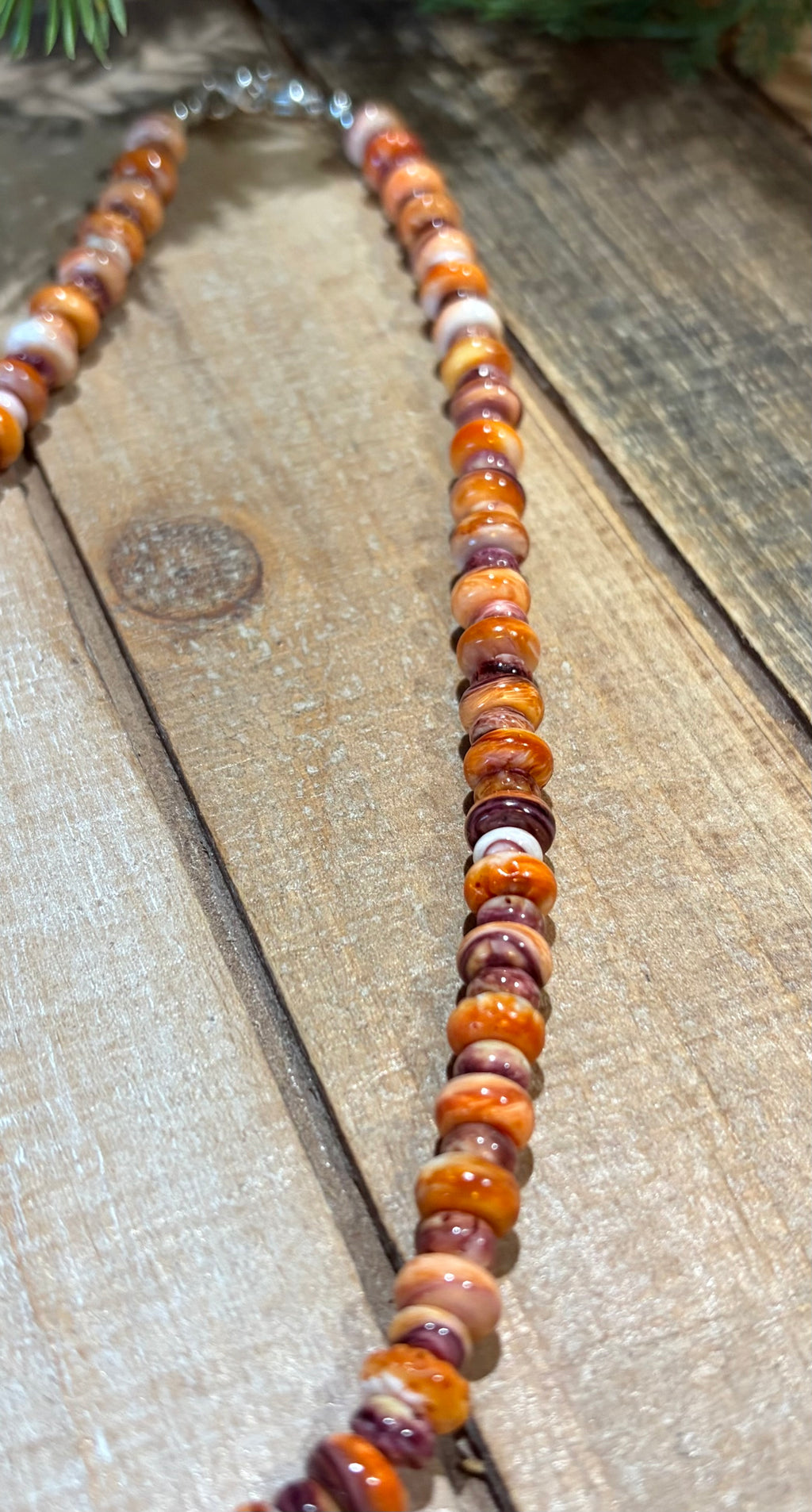 Spiny Oyster & Lions Paw Necklace