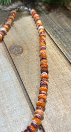 Spiny Oyster & Lions Paw Necklace